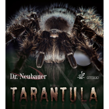 Dr Neubauer Tarantula