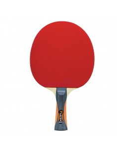 XQ Max Balles de Tennis de Table Colorées (6 pcs) • Out at Home