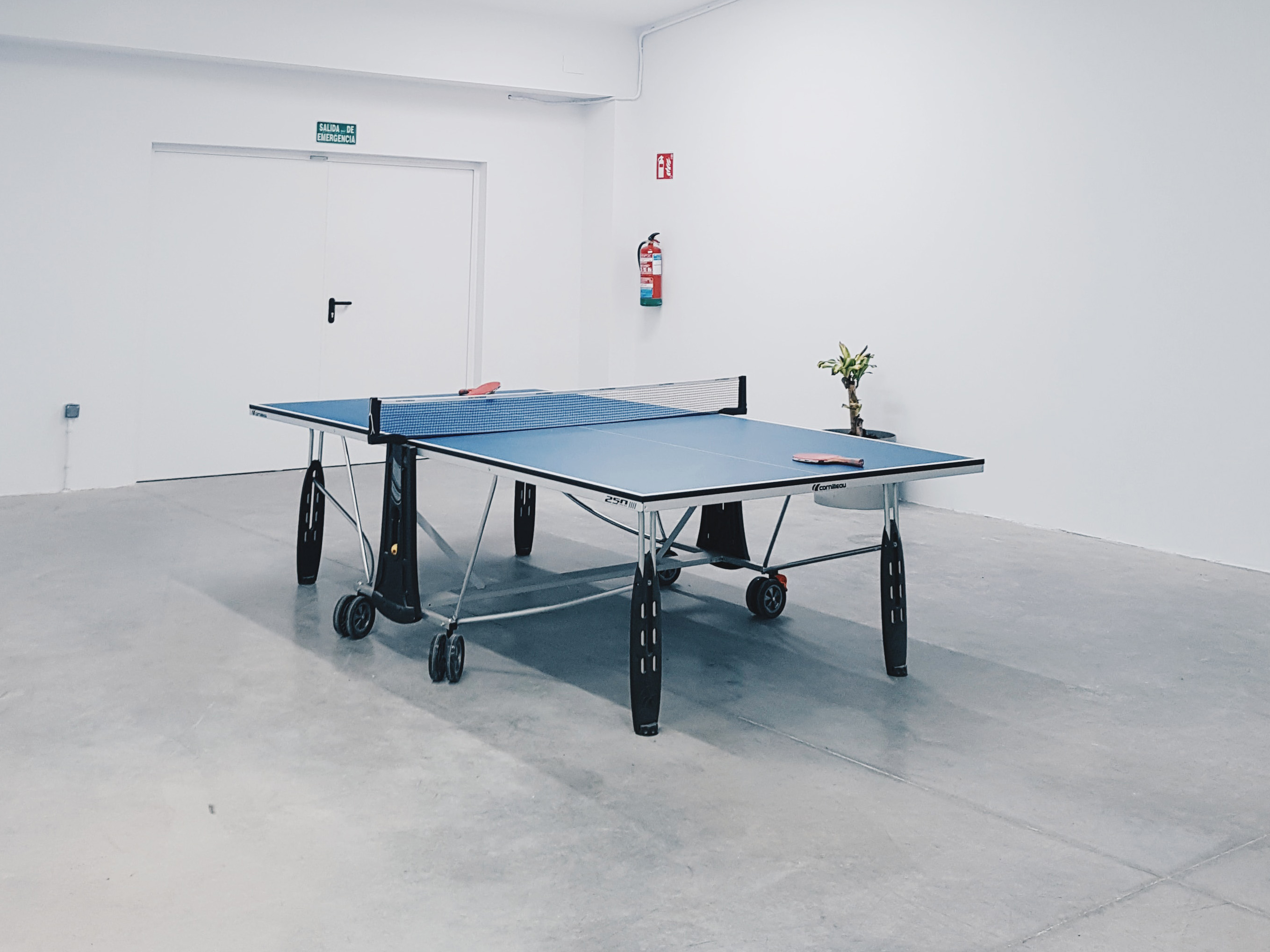 comment pratiquer seul au tennis de table ? -  - Your Table  Tennis Expert